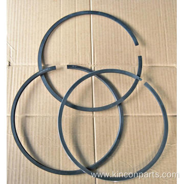 Engine Piston Ring 255